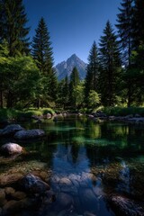 Tranquil mountain lake surrounded by forest