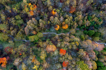 紅葉の谷(20191026)