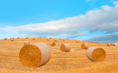 Big round bales of straw in the meadow with beautiful cloudy sky - Scotland