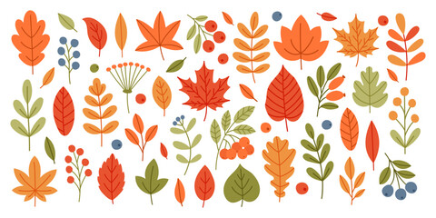 Obraz premium Set of autumn leaves and berries. Autumn foliage icon. Flat hand drawn vector illustration