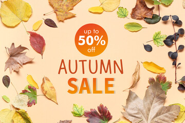 Frame made of different autumn leaves on color background