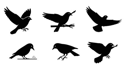 Collection of Six Bird Silhouettes Black and White Vector Illustrations of Birds in Various Poses - Perfect for Design Projects