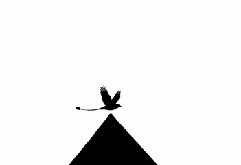 Bird flying above a black pyramid silhouette in minimalistic style  