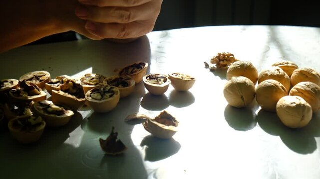 Senior woman cracking shelled walnuts, sitting in a kitchen at home, bathing sunset light, dusk and high contrast sunlight. Calmness candid scene. Authentic real life. 