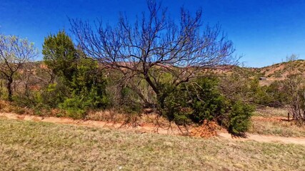 Texas Panhandle is characterized by dramatic canyon landforms, primarily due to the erosive power of rivers and wind over millions of years.