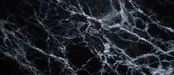 The Elegant Black Marble Surface with Intricate Veins and Patterns
