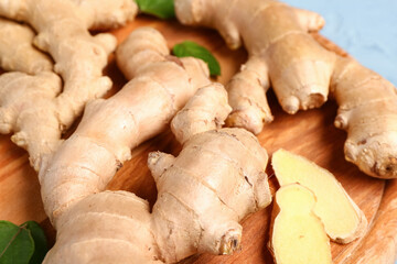 Wooden board with fresh ginger roots and leaves on blue background, closeup