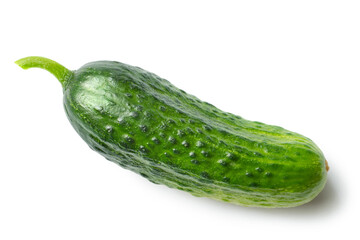 Fresh natural cucumber on a white background. Cucumber vegetable isolated with shade.