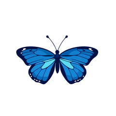 Classic Blue Butterfly Logo, Front View With Extended Wings, Thick Lines