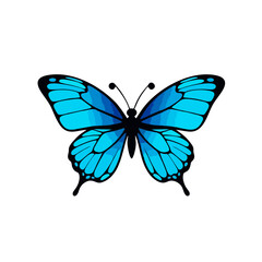 Simple Blue Butterfly Logo, Bold Black Outlines, Symmetrical Wings