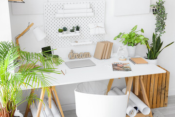 Modern workplace with pegboard and houseplants in light office