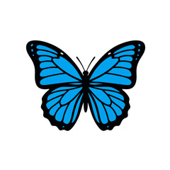 Blue Butterfly Logo, Bold Line Art, Symmetrical Design