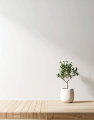 観葉植物と白い壁