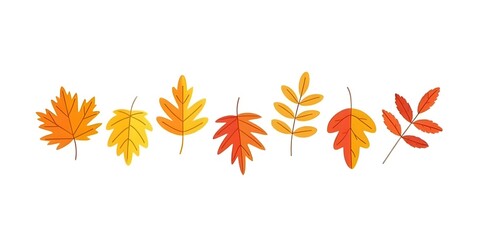 Colorful autumn leaves collection against white background design suitable for fall seasonal concepts