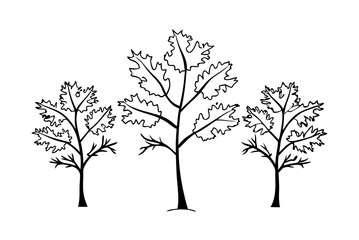 Set of Autumn Pin Oak Leaves Watercolor Illustration for Seasonal Decor