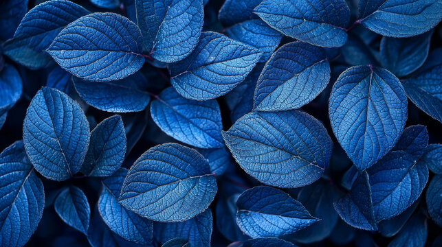 A close-up of blue leaves with intricate veins and textures