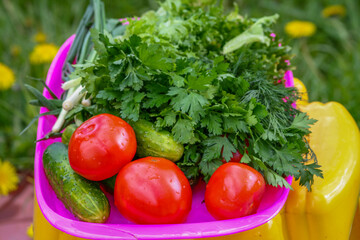 Fresh organic vegetables in pink bowl outdoors.