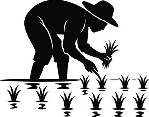 Farmer Planting Rice in Paddy Field Solid Black Silhouette Vector Illustration on White Background