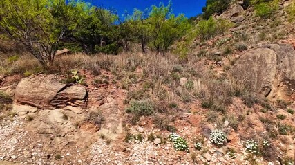 Texas Panhandle is characterized by dramatic canyon landforms, primarily due to the erosive power of rivers and wind over millions of years.
