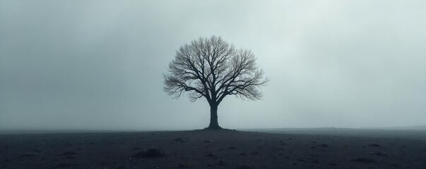Lone Withered Tree Against Desolate Grey Sky A Powerful Image of Isolation and Spiritual Emptiness