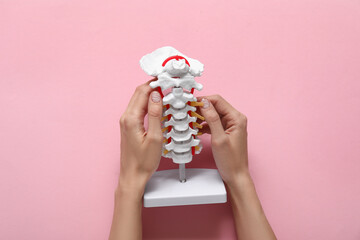 Woman with spine model on pink background