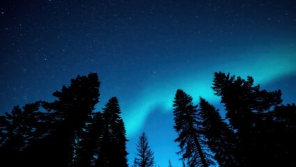 Ultra-wide shot of a clear night sky filled with stars and subtle aurora lights, with silhouette of pine trees below. Deep blue tones, soft glow, dreamy and cinematic atmosphere. 