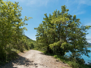  Parc Régional du Verdon. Sentier de randonnée GR 99 au bord du Lac de Sainte-Croix au départ de Bauduen au pied de la Colline du Defens  
