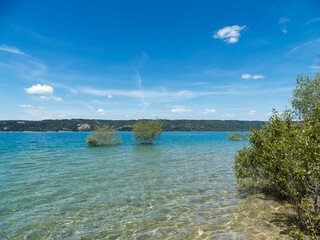 Le lac de Sainte-Croix au pied du Verdon, les eaux turquoises débordant sur la rive boisée d'un petite baie face au village de Sainte-Croix du Verdon et Bodinard à l'horizon
