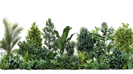 Obraz premium Set of Lush Green Tropical Plants and Bushes Isolated on White Background