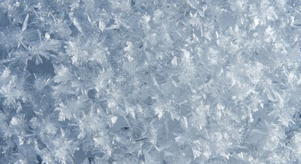 Obraz premium Stunning Close-Up of Delicate Ice Crystals A Winter Wonderland Texture