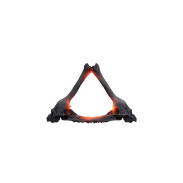 Glowing Avian Furcula Mystical Bird Bone Structure