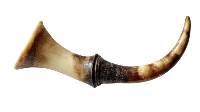 Ancient Animal Horn: A weathered animal horn, hinting at a historical past and the natural beauty of the animal world.