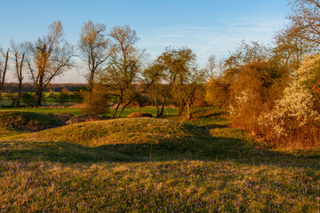Abendstimmung im NSG Sulzheimer Gipshügel, Landkreis Schweinfurt, Unterfranken, Bayern, Deutschland