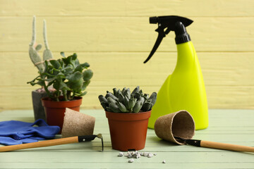 Plant and gardening tools on wooden table