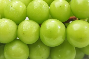 Anggur Muscat. Muscat grapes, especially the Shine Muscat variety, are a type of grape known for their distinctive sweet taste and unique muscat aroma.