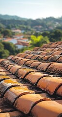 Terracotta roof tiles, close-up view, with blurred hills and village in background