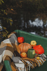 Autumn picnic on a boat with pumpkin and apples