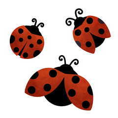 A playful illustration of three ladybugs with vibrant red wings and black spots. Each ladybug is shown in a different pose, featuring curly antennae and a simple, bold design on a white background.