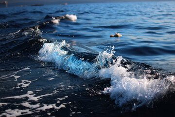 a wave in the sea 