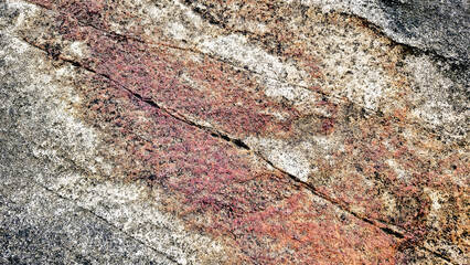 Close-up of a natural mountain rock surface featuring rough and organic textures. Ideal for use in backgrounds, design elements.