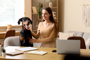 Cute Doberman dog and beautiful young happy woman with laptop at workplace at home
