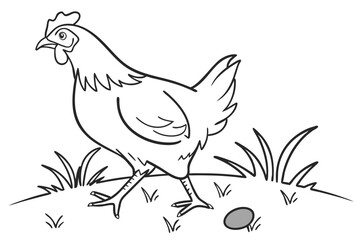 Obraz premium Minimal Chicken Drawing in Clean Vector Illustration on White