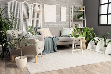 Interior of living room with grey sofa, armchair and green plants