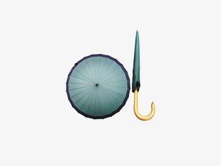 The white background in the picture is a pastel green plastic umbrella with a black edge. The...