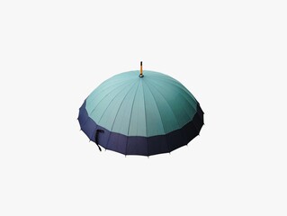 The white background in the picture is a pastel green plastic umbrella with a black edge. The...
