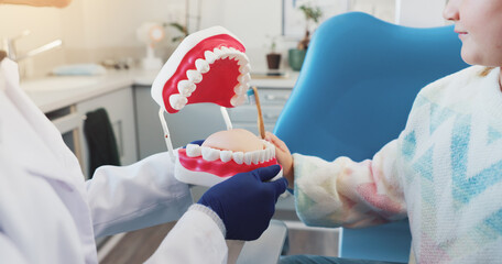 Hands, kid and dentist with mouth model for medical check, teeth hygiene or dental health. Tooth...