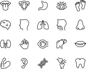 Human Organs and Body Parts Line Icon Set – Eyes, Brain, Lungs, and Skeleton Outline Vector for Medical and Science Use