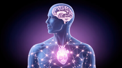 Transparent human silhouette with glowing brain and heart, neural network, digital anatomy, futuristic medical concept, purple background