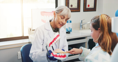 Fototapeta premium Girl, brushing teeth and dentist with mouth model for medical check, hygiene or dental health. Toothbrush, healthcare procedure and woman teaching child in clinic for oral care, clean or plastic mold