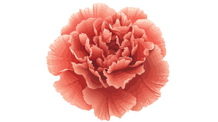 Vibrant Carnation Flower Flat Vector Illustration